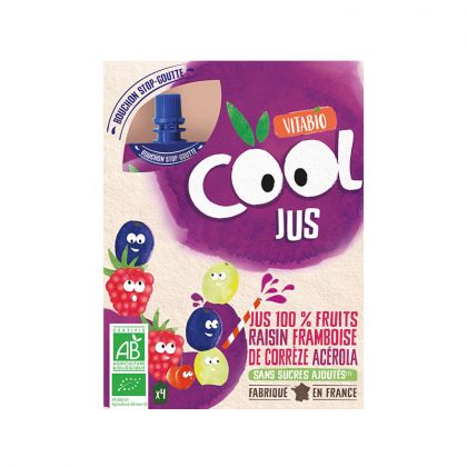 COOL JUS RAISIN FRAMBOISE VITABIO 4X105ML