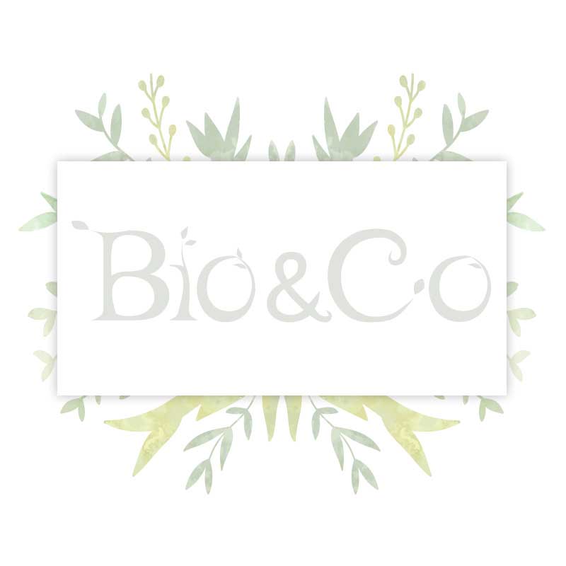 BOISSON VEGETALE AMANDE INTENSE BIO BONNETERRE 20CL