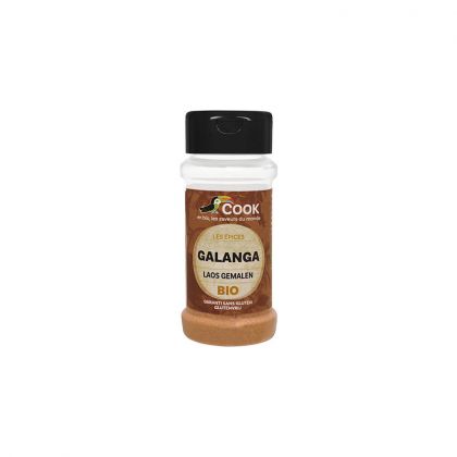 POUDRE DE GALANGA BIO COOK 25G